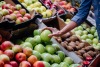 UAE Protects Public Health with New Genetically Modified Food Law